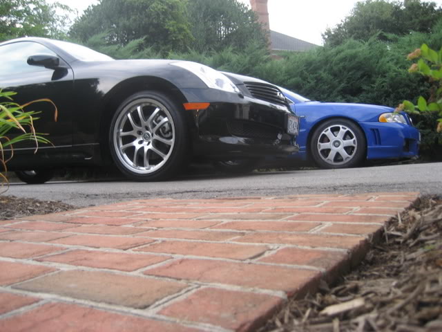 Name:  IMG_2191.jpg
Views: 99
Size:  60.6 KB