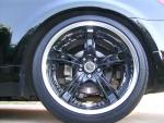 Black Beauty Pics......  56K Beware.................-dscn1574-medium-.jpg