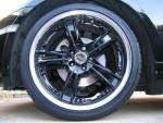 Black Beauty Pics......  56K Beware.................-dscn1572-medium-.jpg