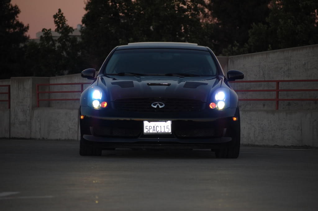 Name:  DSC_0135.jpg
Views: 48
Size:  78.2 KB