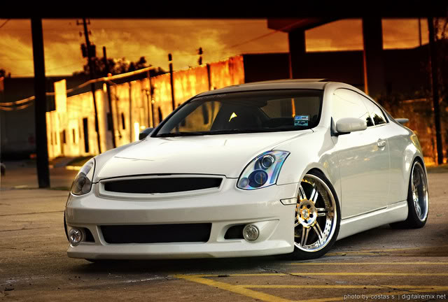 Name:  DSC_7938sized.jpg
Views: 55
Size:  62.2 KB