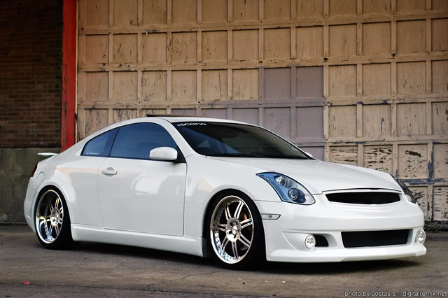 Name:  DSC_7901sized.jpg
Views: 62
Size:  58.8 KB