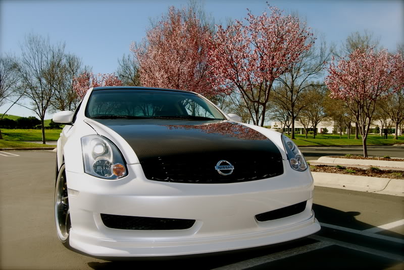 Name:  DSC_0032.jpg
Views: 27
Size:  133.4 KB