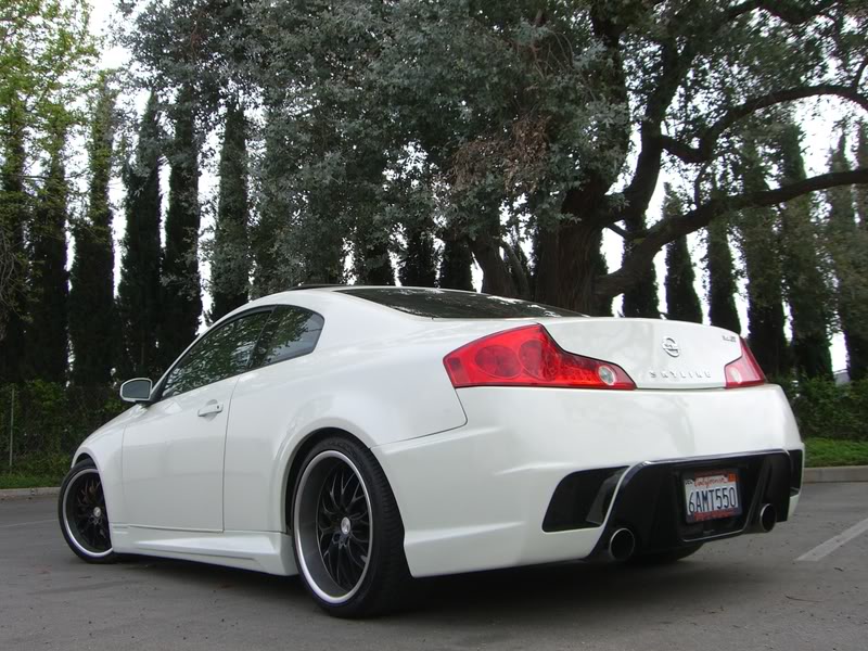 Name:  randompics078.jpg
Views: 46
Size:  156.2 KB