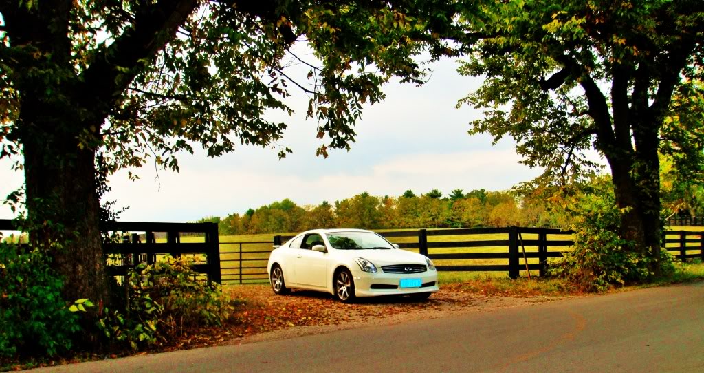 Name:  DSC00544.jpg
Views: 126
Size:  179.4 KB