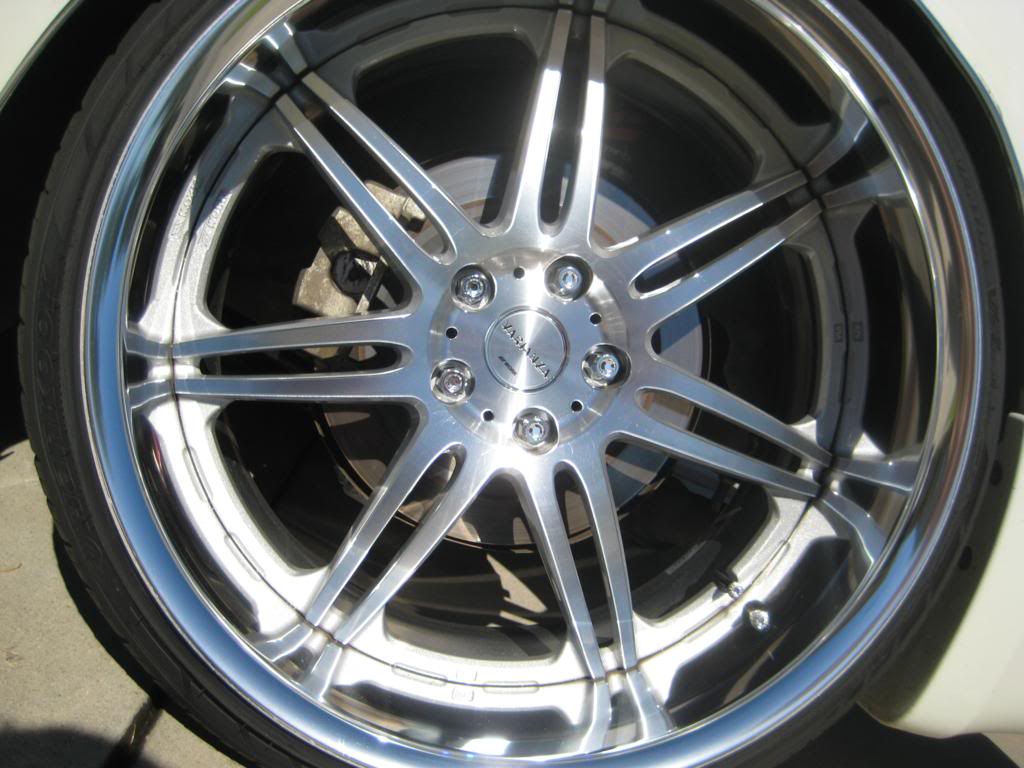 Name:  lugs2_1024x768.jpg
Views: 270
Size:  98.5 KB