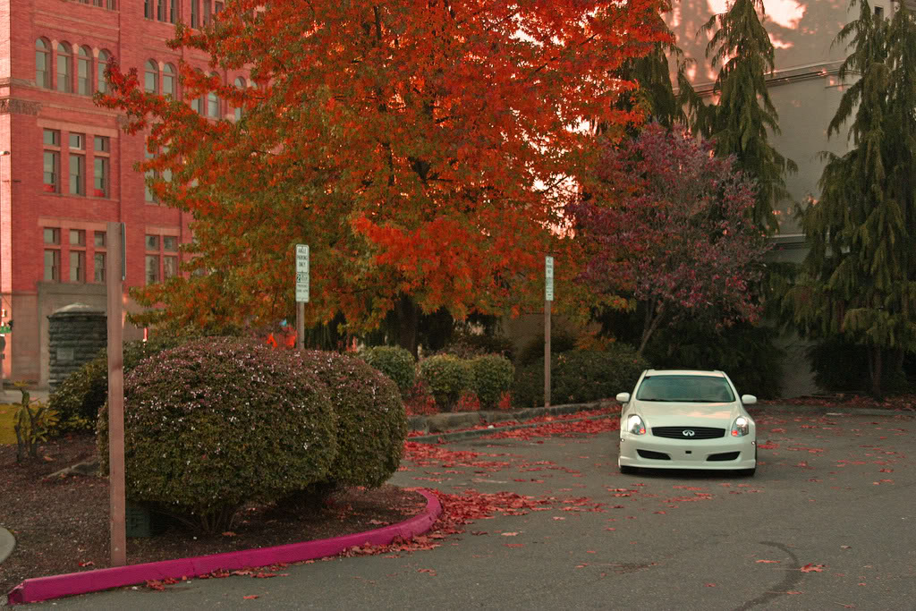 Name:  IMG_4449Red.jpg
Views: 143
Size:  212.9 KB