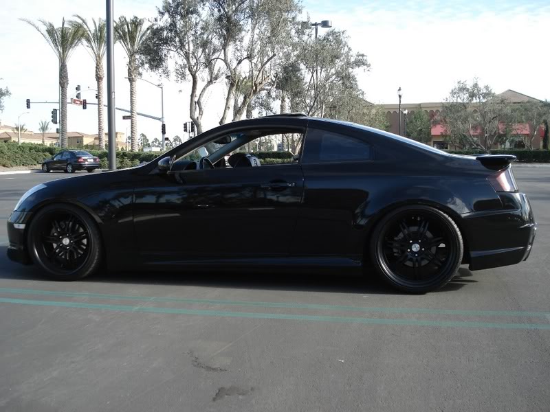 Name:  DSC01517.jpg
Views: 103
Size:  91.2 KB