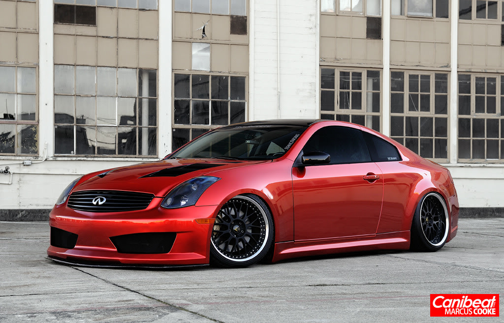 Name:  DSC_7073_final.jpg
Views: 258
Size:  193.3 KB