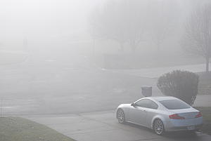 Foggy Morning Photos.-dsc_0019.jpg