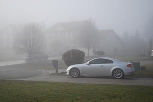 Foggy Morning Photos.-dsc_0087.jpg