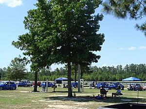 Carolina Motorsports Park - kart pics-9obucl.jpg