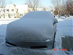 Snowy G-snowed.jpg