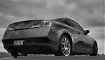 Clear tails-277g35mbw.jpg
