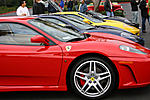 ending the year with exotics-img_1547.jpg