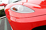 ending the year with exotics-img_1553.jpg