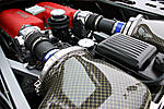 ending the year with exotics-img_1581.jpg