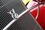 ending the year with exotics-img_1585.jpg