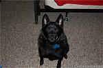 Got a NIKON D50!-newcamera-001.jpg