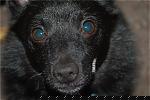 Got a NIKON D50!-newcamera-020.jpg
