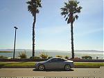 Pics of my Ride-palm-tree-shot-2.jpg