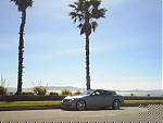 Pics of my Ride-palm-tree-shot-3.jpg