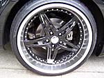 new shoes-100_0732.jpg