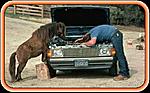 Just when you thought you had seen it all!!!!Funny Pix-att4566394.jpg