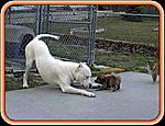 Just when you thought you had seen it all!!!!Funny Pix-att4566396.jpg