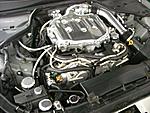 Let's See Those Clean Engine Bay Shots *PICS*-gk.jpg