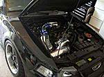 My OTHER ride 615 HP Mustang-0101070102020103052007100862417c7bcf9e479017005734.jpg