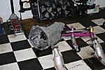 Compilation of my engine build pictures (lots of pix)-img_4432.jpg