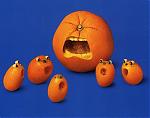 Food Fun-image005.jpg