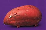 Food Fun-image008.jpg