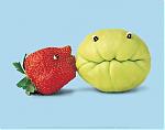 Food Fun-image012.jpg