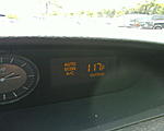 damn the heat-photo-0352.jpg