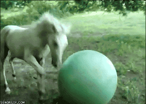 **PNW VQ's** Random Chat Thread-6l8l8.gif