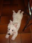 I got a great gift today!-dsc02277.jpg