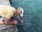 Weekend in key west-m_70f84755236a4026214eddf1bcc55a6a.jpg