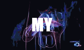 Name:  44xqh.gif
Views: 13
Size:  737.2 KB