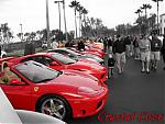 Crystal Cove meet-crystal-cove.jpg