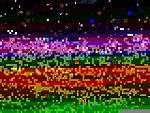 Houston April Fools Meet!-2.2.2005-affidavit-022a.jpg