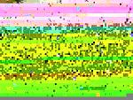 Houston April Fools Meet!-2.2.2005-affidavit-038a.jpg