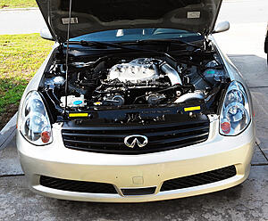 CIN Motorsports Charlotte, NC-jxqupea.jpg