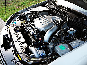 CIN Motorsports Charlotte, NC-2b7pwgh.jpg