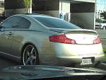 G sightings!-dsc00530.jpg