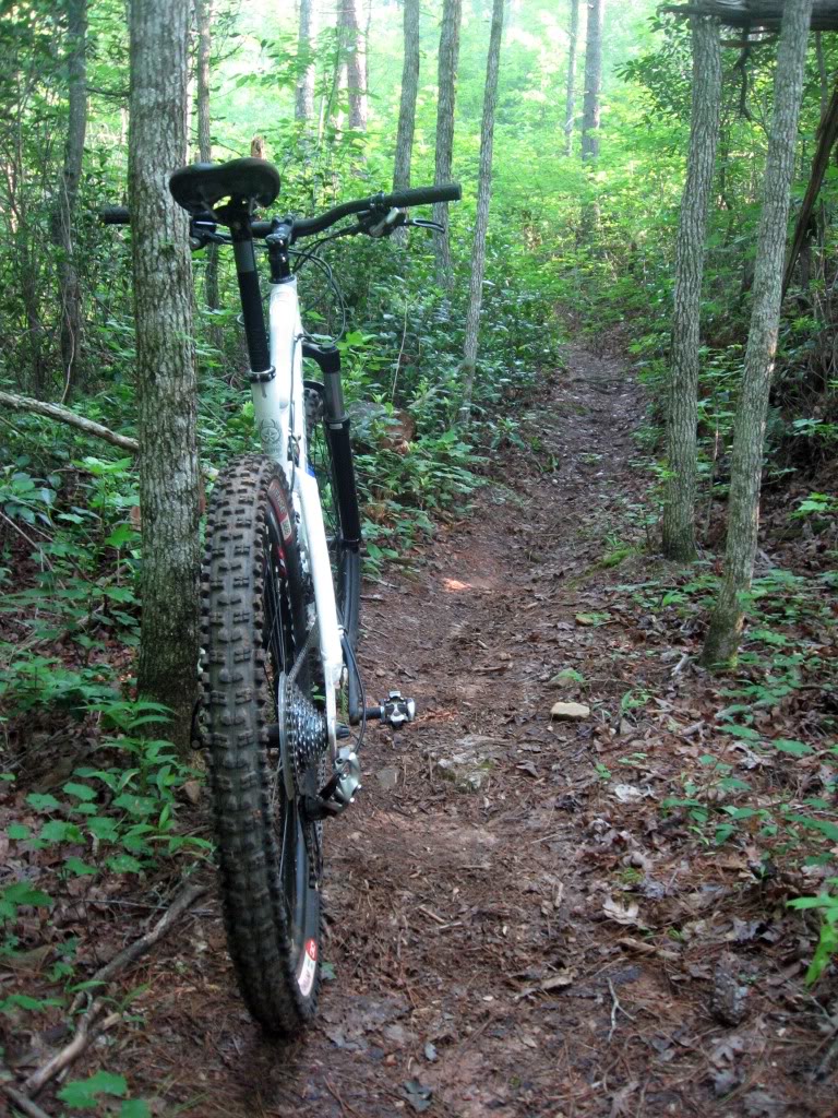 Name:  airbornemountainbike.jpg
Views: 29
Size:  281.6 KB