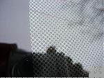 Tintzone question-dscn3814-large-.jpg