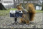 need help for my GF's 20th B-DAY-funny-pictures-creepy-squirrel-camera-park.jpg