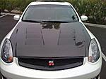 My new ts hood and installed-picture-003-revise.jpg